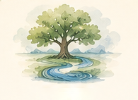 The Quiet Clarity Way